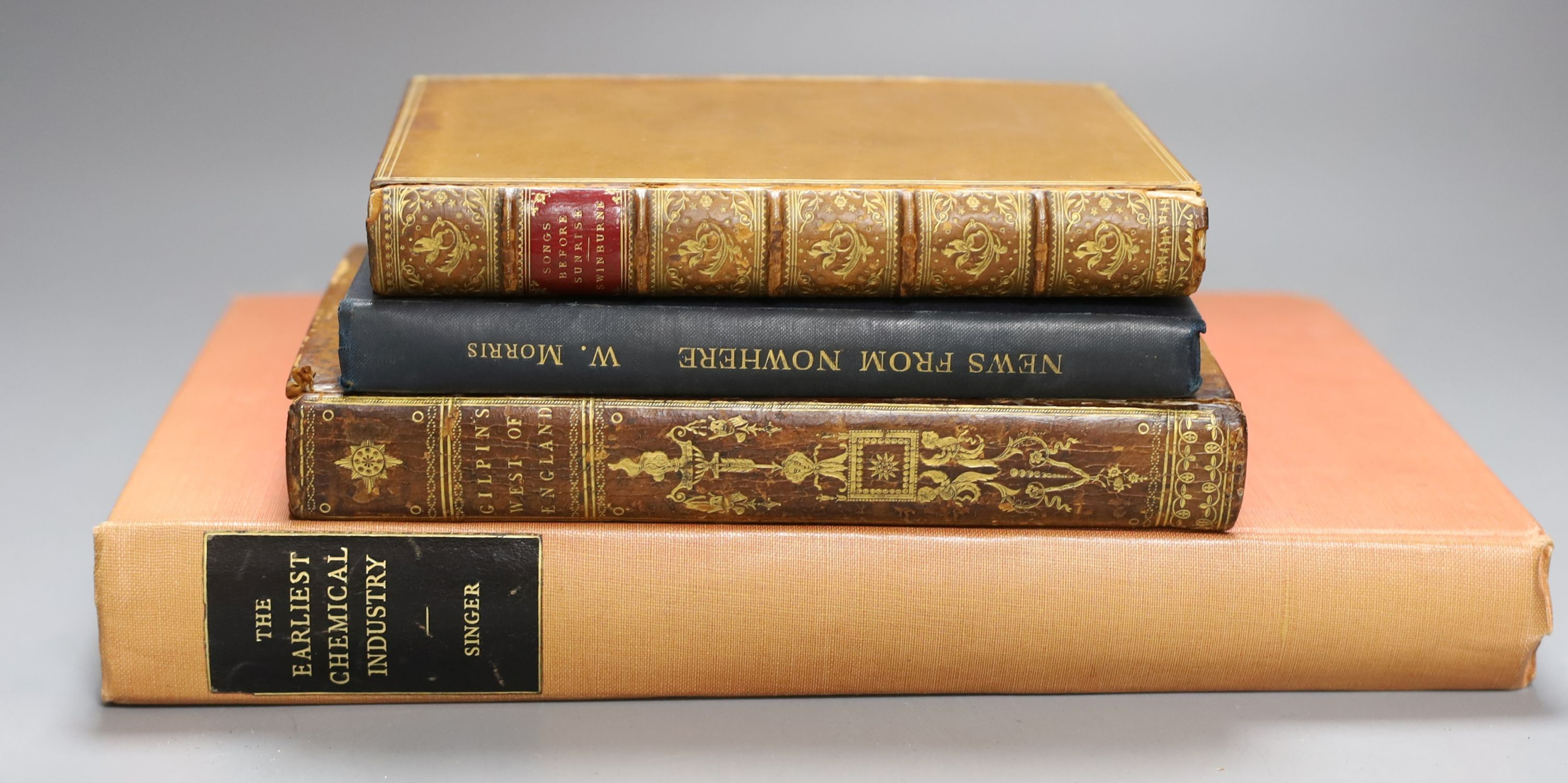 Gilpin, William - Observations on the Western Parts of England relative chiefly to Picturesque Beauty, 8vo, burr calf, with 18 tinted plates, T. Cadell & W. Davies, London, 1798